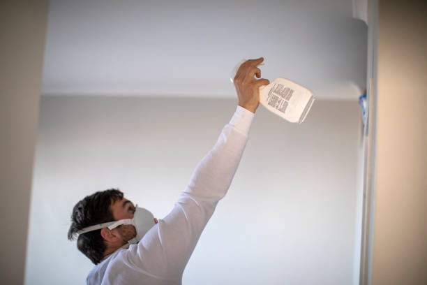 Best Preventive Mold Services in Horizon City, TX