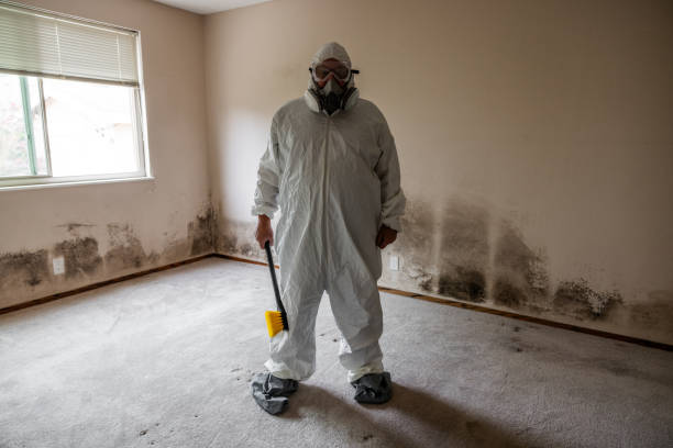 Best Residential Mold Remediation in Horizon City, TX